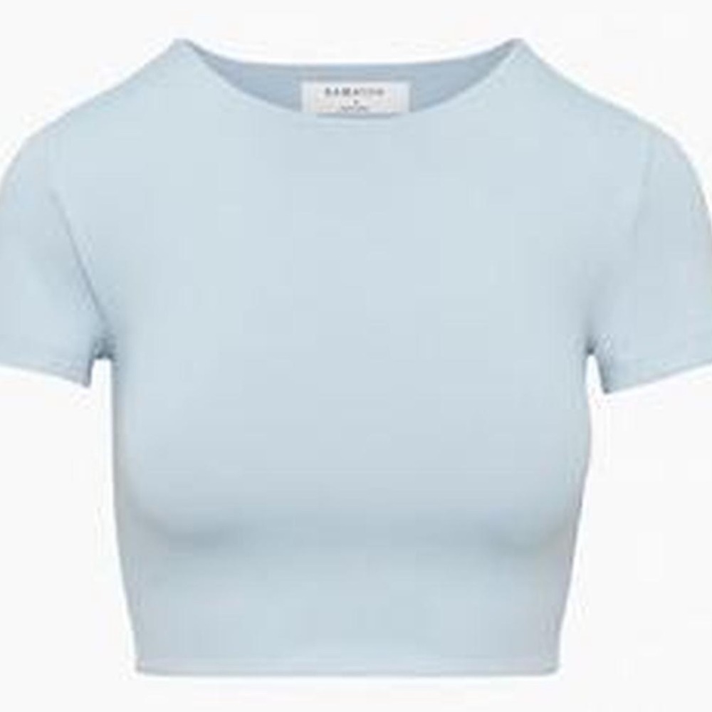 Aritzia Babaton Blue Fitted Crop T-Shirt